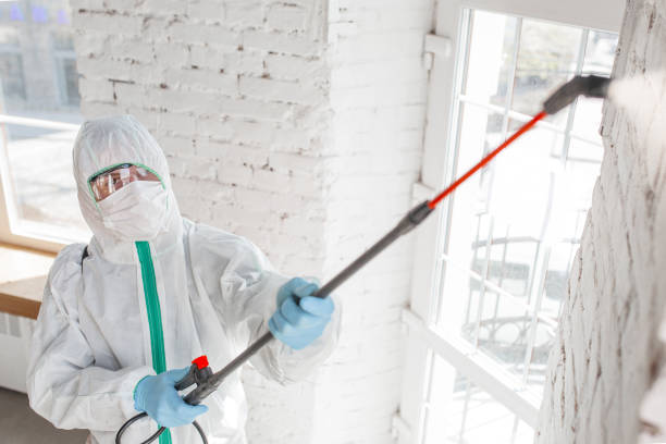 Trusted Clinton, OH Mold Inspection, Removal & Remediation Experts