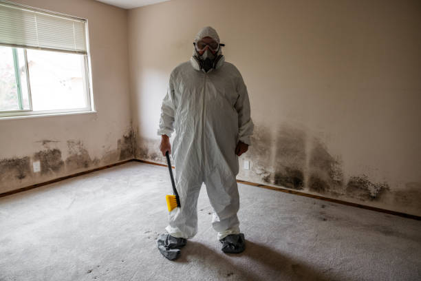 Asbestos and Lead Testing During Mold Inspection in Clinton, OH